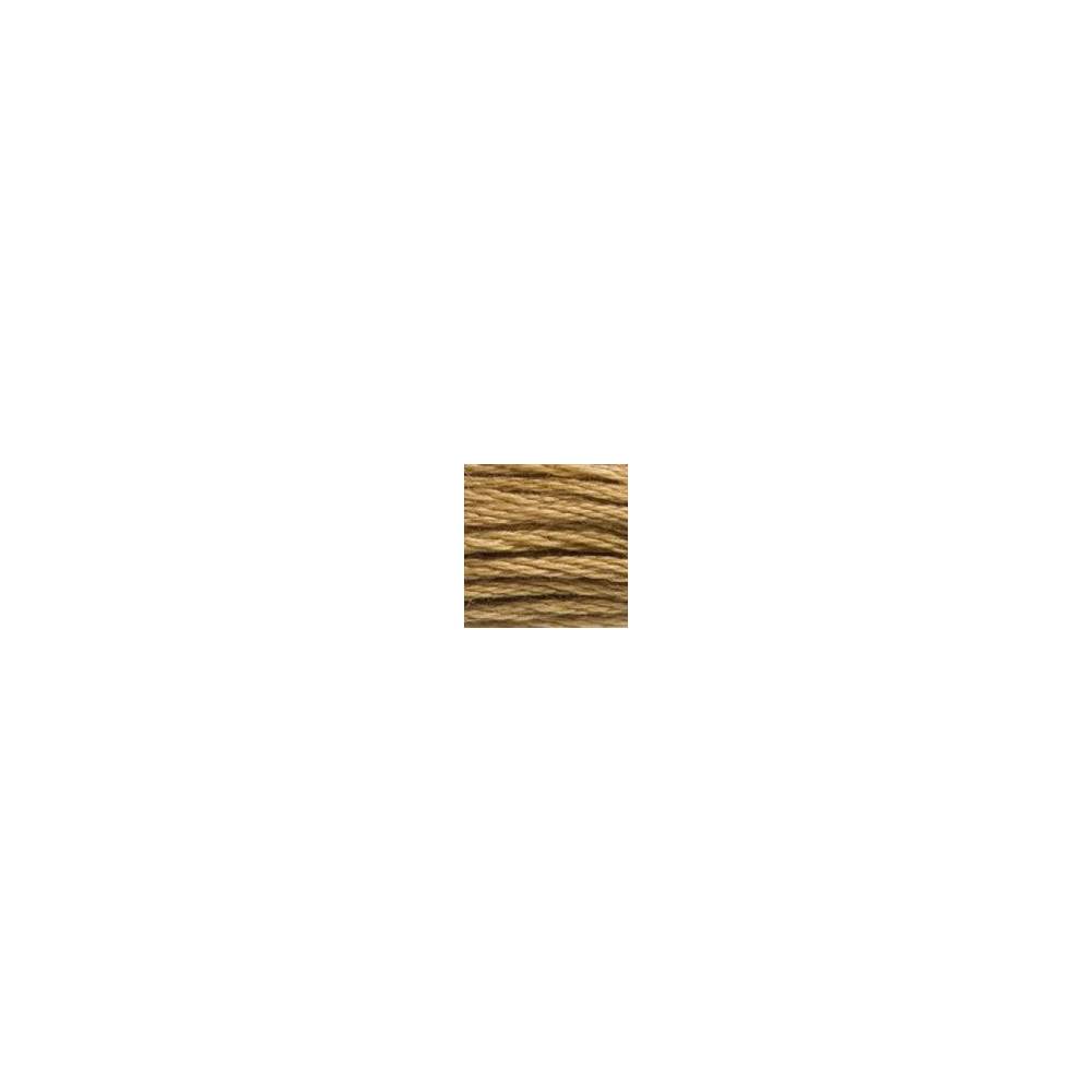 3828 мулине DMC 3828 Hazelnut Brownм арт.117