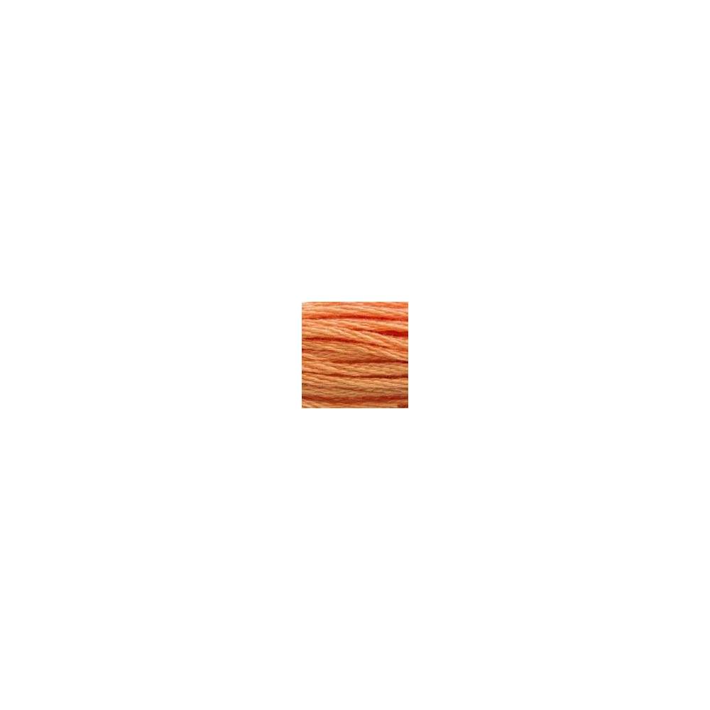 0402 floss DMC 402 Very Light Mahogany art.117