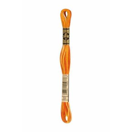 0051 floss DMC 51 Variegated Burnt Orange art.117