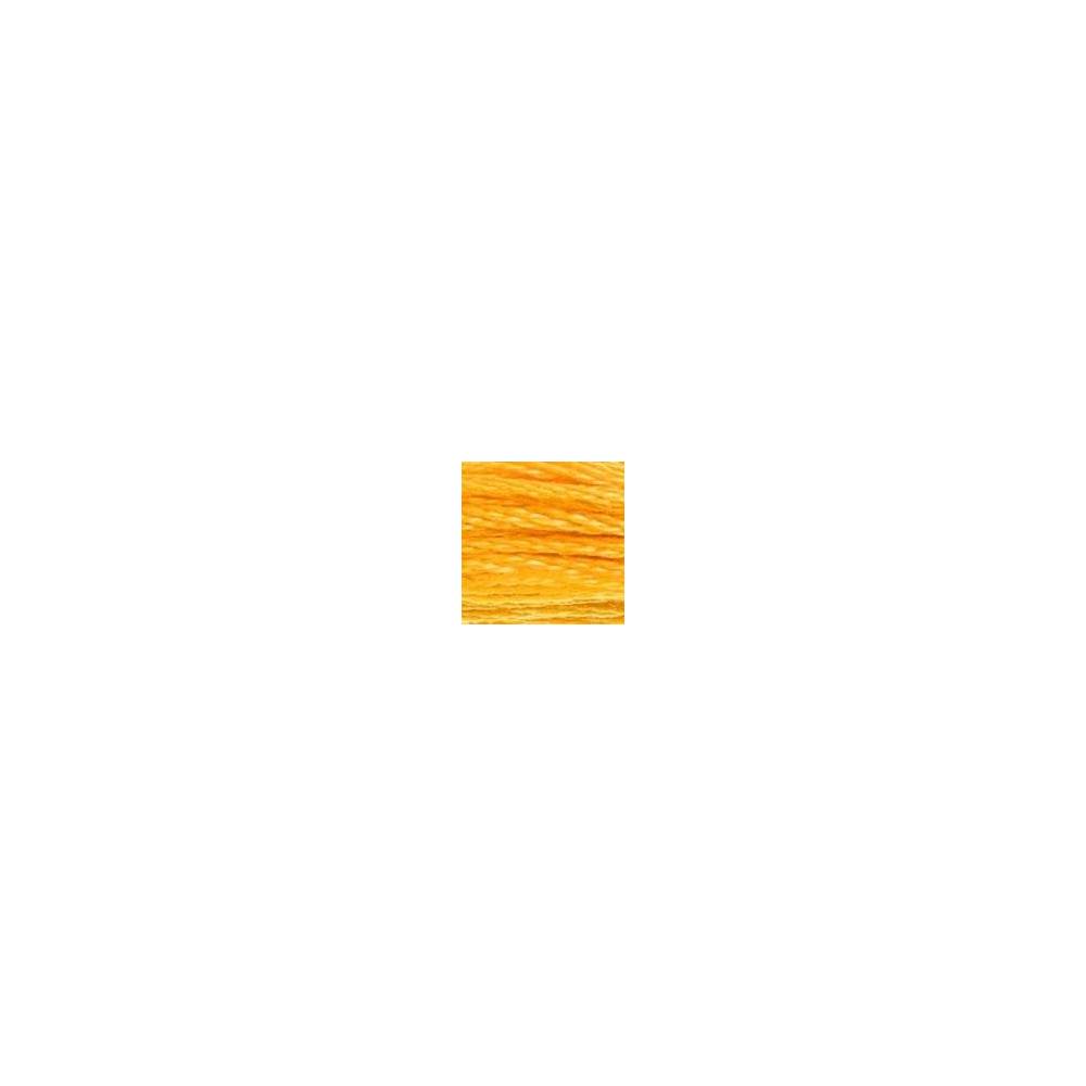 0742 мулине DMC 742 Light Tangerine арт.117