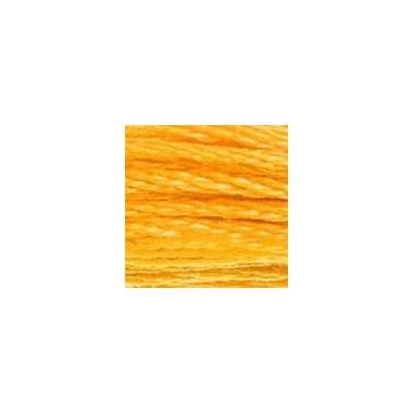 0742 мулине DMC 742 Light Tangerine арт.117