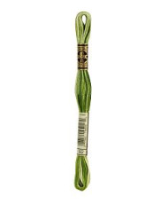0092 floss DMC 92 Variegated Avocado art.117
