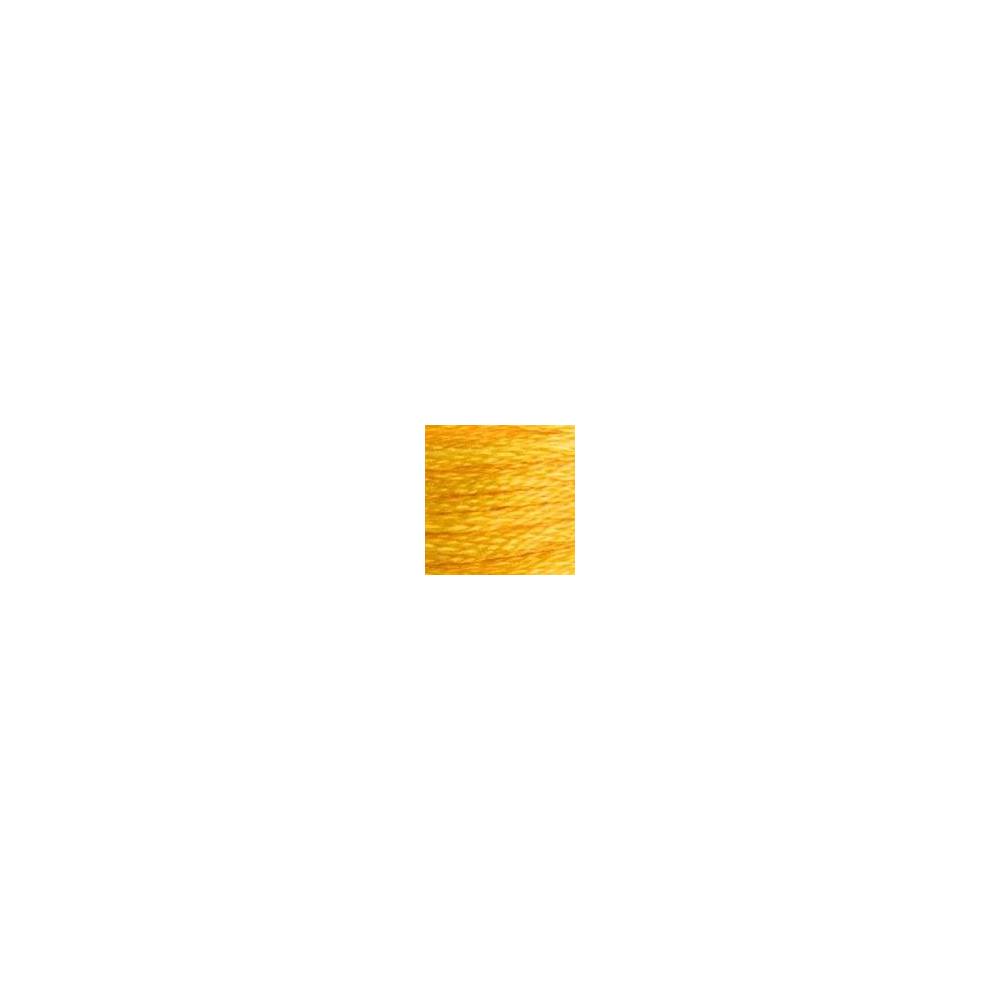 0972 floss DMC 972 Deep Canary art.117