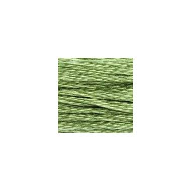 0989 муліне DMC 989 Forest Green арт.117