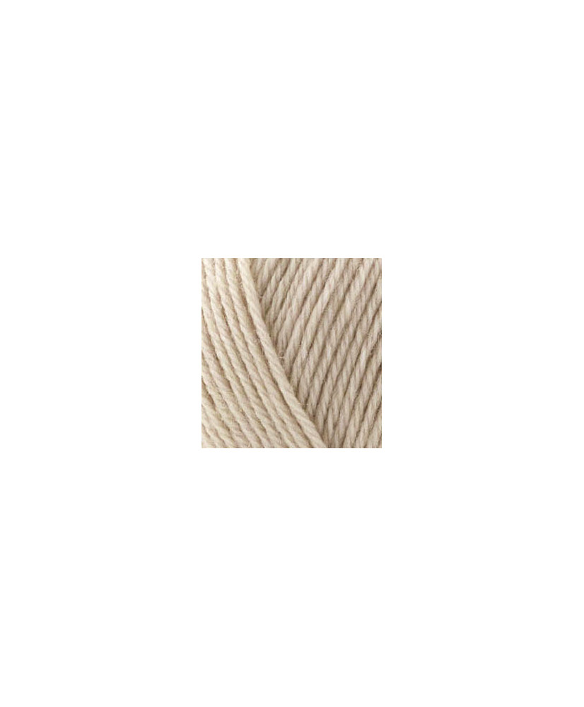 Yarn Alize Wooltime linen (152)