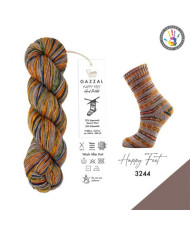 Yarn Gazzal Happy Feet multicolor (3244)