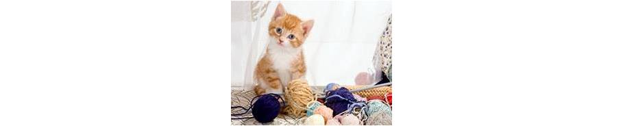 Yarn