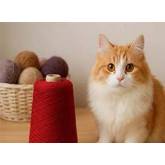 Bobbin yarn