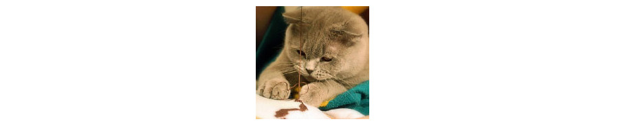 Embroidery