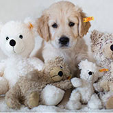 For knitting toys